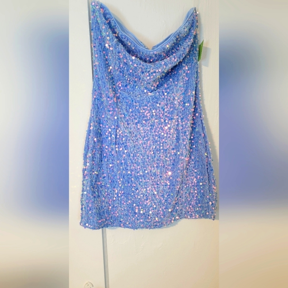 NWT Strapless Dress